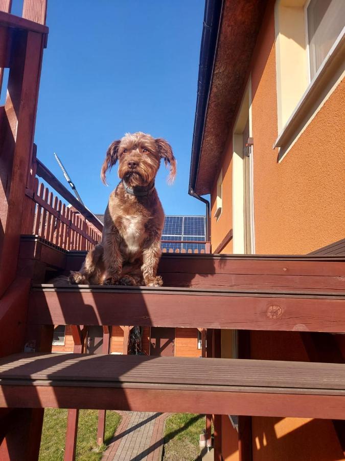 Siedlisko na Zaciszu domek Kąty Rybackie Zewnętrze zdjęcie